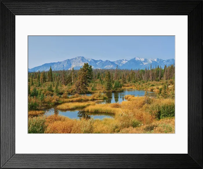 Framed Print : Wetlands and the Kluane Ranges, the easternmost of the St Elias Mountains. Kluane National Park Yukon, Canada Kluane National Park Yukon, Canada Framed Print : Wetlands and the Kluane Ranges, the easternmost of the St Elias Mountains. Kluane National Park Yukon, Canada Kluane National Park Yukon, Canada