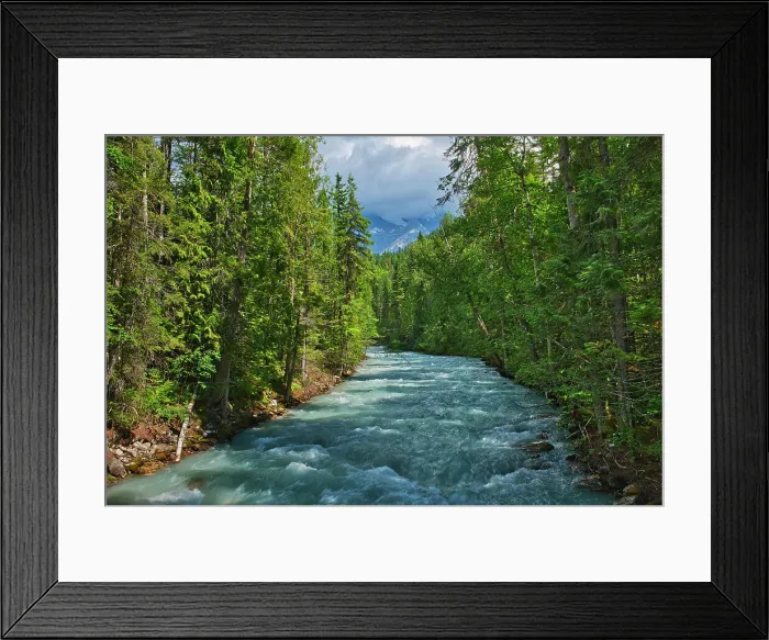 Framed Print : Robson River. Keeny Lake Trail. Inland temperate rain forest Framed Print : Robson River. Keeny Lake Trail. Inland temperate rain forest