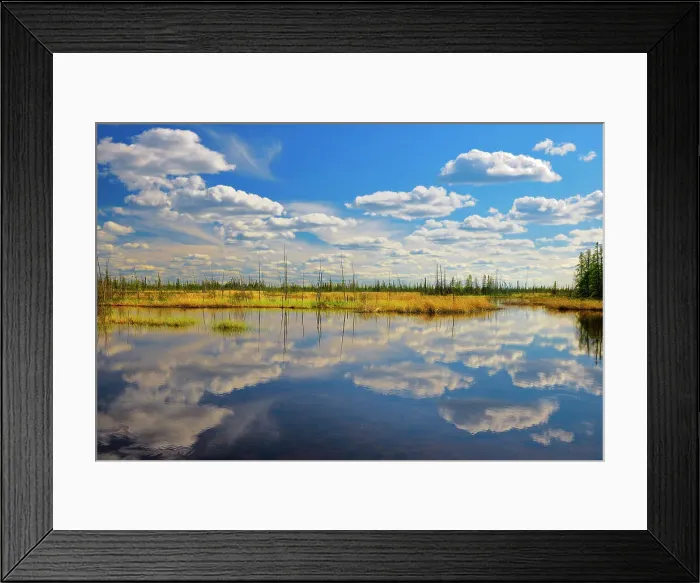 Framed Print : Clouds reflected in wetland Wood Buffalo National Park, Northwest Territories, Canada Framed Print : Clouds reflected in wetland Wood Buffalo National Park, Northwest Territories, Canada