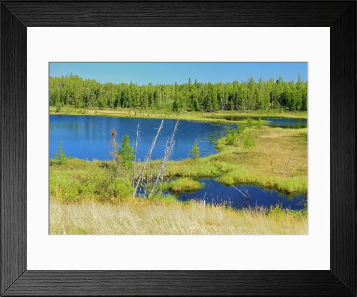 Framed Print : Wetland and boreal forest Yellowknife Highway, Northwest Territories, Canada Framed Print : Wetland and boreal forest Yellowknife Highway, Northwest Territories, Canada