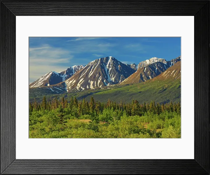 Framed Print : St. Elias Mountains, a subgroup of the Pacific Coast Ranges from Haines Junction, Yukon, Canada Framed Print : St. Elias Mountains, a subgroup of the Pacific Coast Ranges from Haines Junction, Yukon, Canada