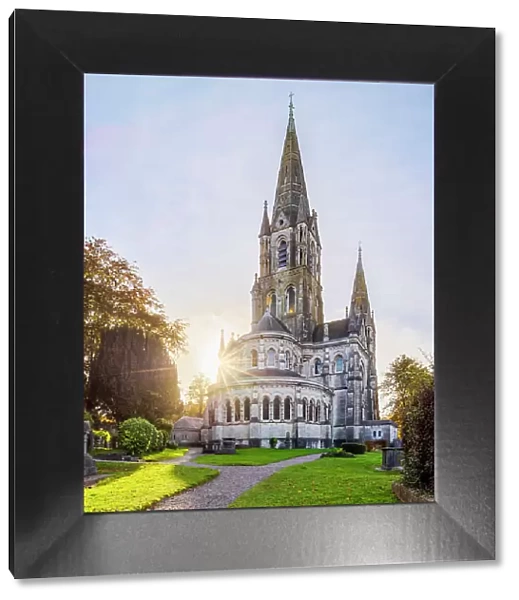 Saint Fin Barre's Cathedral at sunset, Cork, County Cork, Ireland