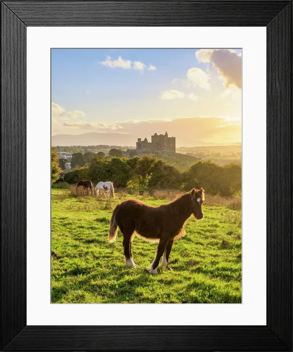 Framed Print : Horses with Rock of Cashel in the background at sunset, Cashel, County Tipperary, Ireland Framed Print : Horses with Rock of Cashel in the background at sunset, Cashel, County Tipperary, Ireland