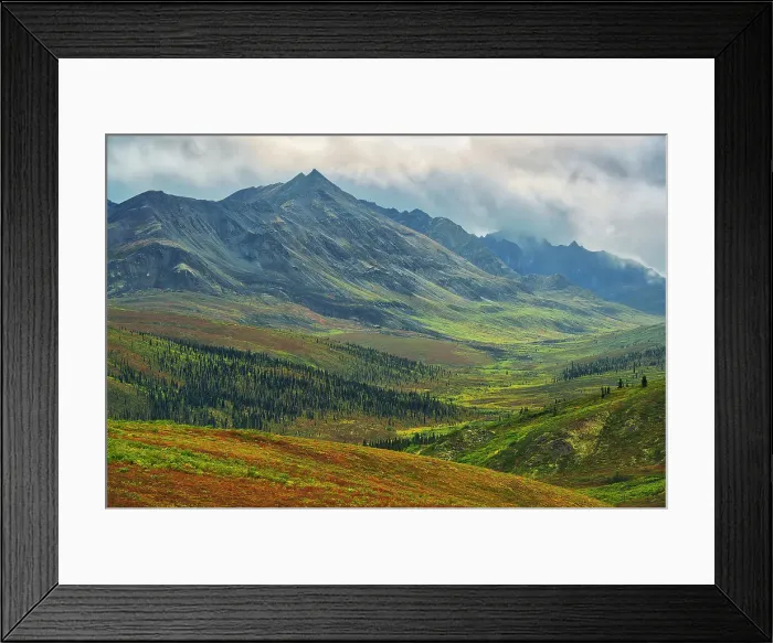 Framed Print : Ogilvie Mountains, part of the Yukon Ranges. Dempster Highway. Tombstone Territorial Park, Yukon, Canada Framed Print : Ogilvie Mountains, part of the Yukon Ranges. Dempster Highway. Tombstone Territorial Park, Yukon, Canada