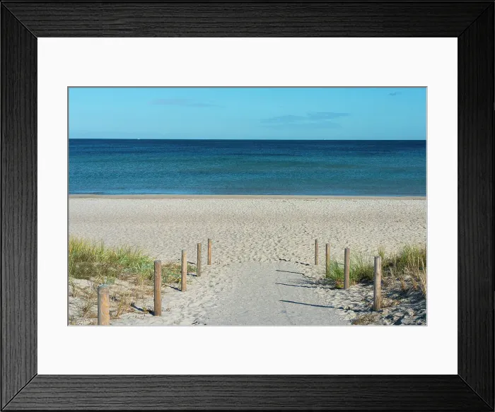 Framed Print : Path leading in sandy beach, Boltenhagen, Nordwestmecklenburg, Mecklenburg-Western Pomerania, Germany Framed Print : Path leading in sandy beach, Boltenhagen, Nordwestmecklenburg, Mecklenburg-Western Pomerania, Germany