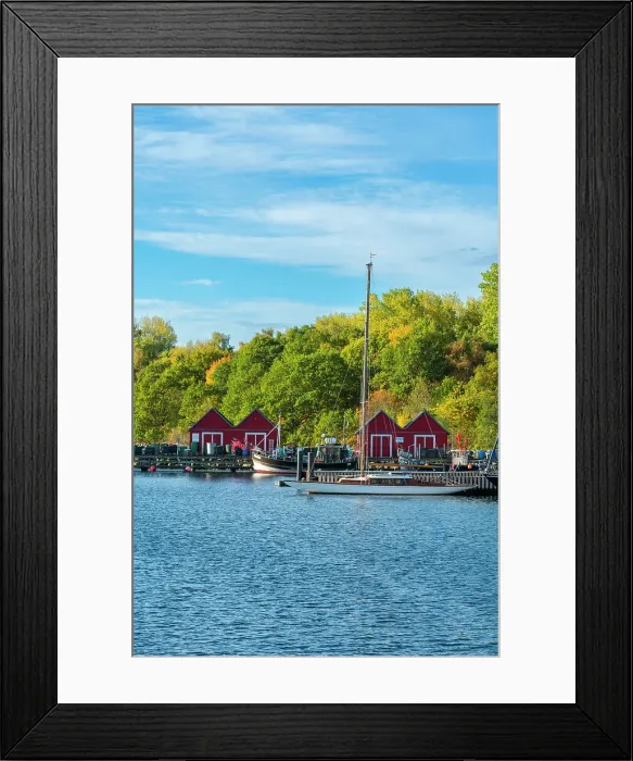 Framed Print : Red cabins against colorful trees in autumn, Wei√ue Wiek harbor, Boltenhagen, Nordwestmecklenburg, Mecklenburg-Western Pomerania, Germany Framed Print : Red cabins against colorful trees in autumn, Wei√ue Wiek harbor, Boltenhagen, Nordwestmecklenburg, Mecklenburg-Western Pomerania, Germany