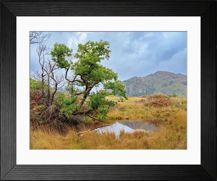 Framed Print : Landscape of the Killarney National Park, County Kerry, Ireland Framed Print : Landscape of the Killarney National Park, County Kerry, Ireland