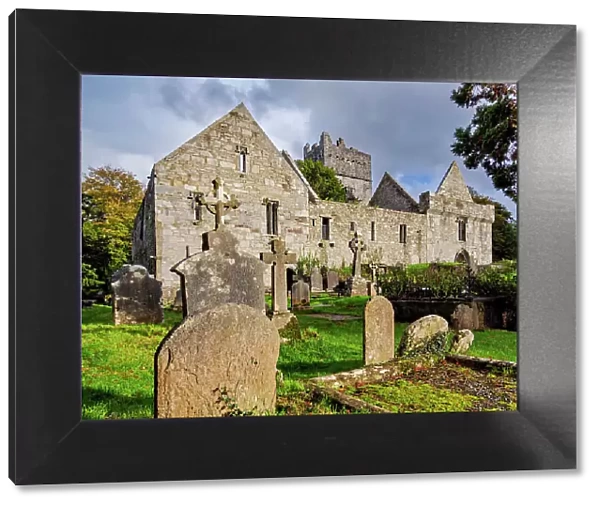 Muckross Abbey and Cemetery, Killarney National Park, County Kerry, Ireland