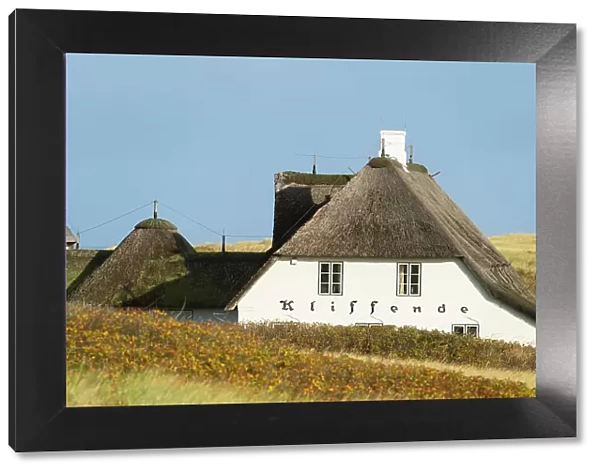 House with traditional thatched roof, Kampen, Sylt, Nordfriesland, Schleswig-Holstein, Germany