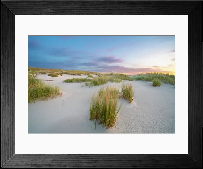 Framed Print : Sand dune landscape at sunrise, Wittdun, UNESCO, Amrum island, Nordfriesland, Schleswig-Holstein, Germany Framed Print : Sand dune landscape at sunrise, Wittdun, UNESCO, Amrum island, Nordfriesland, Schleswig-Holstein, Germany