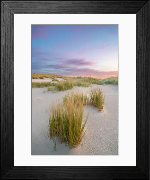 Framed Print : Sand dune landscape at sunrise, Wittdun, UNESCO, Amrum island, Nordfriesland, Schleswig-Holstein, Germany Framed Print : Sand dune landscape at sunrise, Wittdun, UNESCO, Amrum island, Nordfriesland, Schleswig-Holstein, Germany