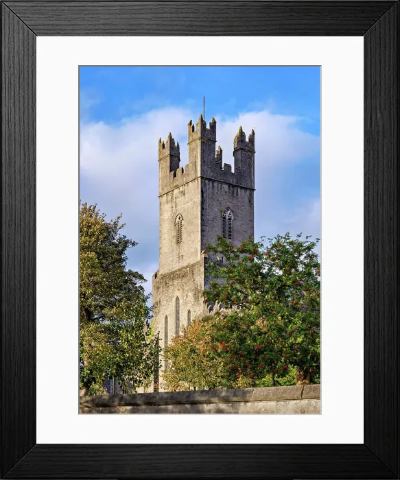 Framed Print : Saint Mary's Cathedral, Limerick, County Limerick, Ireland Framed Print : Saint Mary's Cathedral, Limerick, County Limerick, Ireland