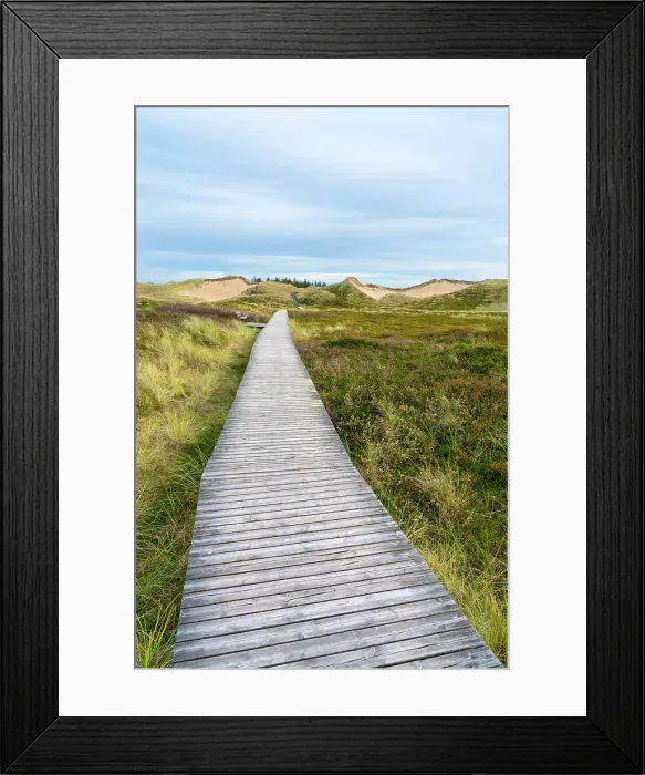Framed Print : Wooden boardwalk among grass covered sand dune landscape near Norddorf, UNESCO, Amrum island, Nordfriesland, Schleswig-Holstein, Germany Framed Print : Wooden boardwalk among grass covered sand dune landscape near Norddorf, UNESCO, Amrum island, Nordfriesland, Schleswig-Holstein, Germany