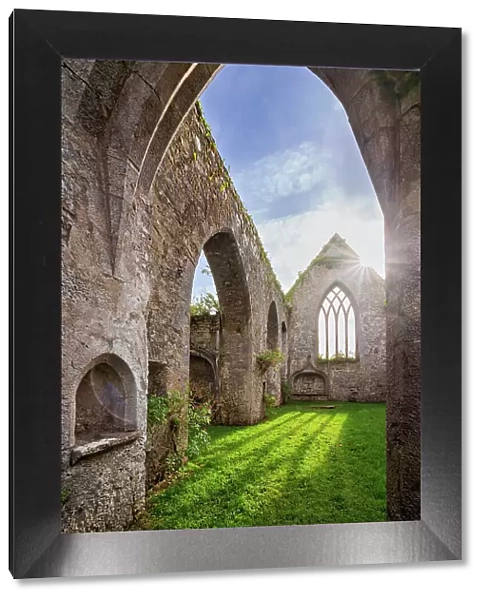 Franciscan Friary, Adare, County Limerick, Ireland