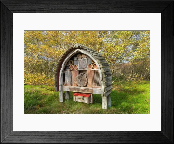 Framed Print : Beehive in forest, near Norddorf, UNESCO, Amrum island, Nordfriesland, Schleswig-Holstein, Germany Framed Print : Beehive in forest, near Norddorf, UNESCO, Amrum island, Nordfriesland, Schleswig-Holstein, Germany