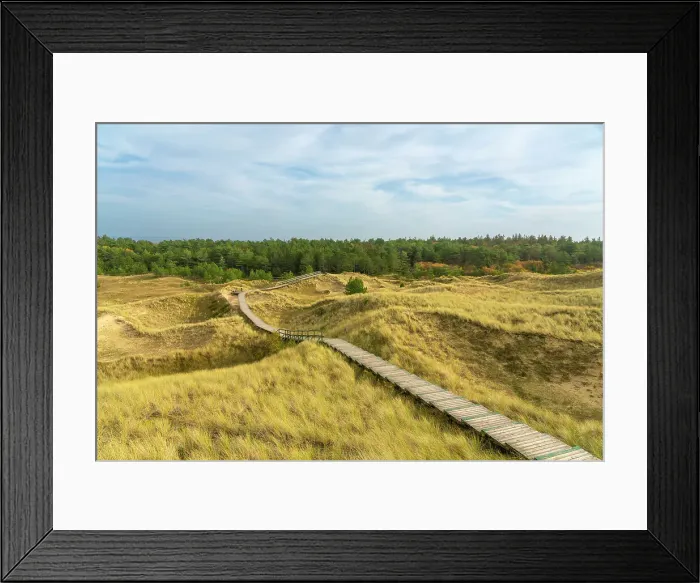 Framed Print : Wooden boardwalk among grass covered sand dune landscape near Norddorf, UNESCO, Amrum island, Nordfriesland, Schleswig-Holstein, Germany Framed Print : Wooden boardwalk among grass covered sand dune landscape near Norddorf, UNESCO, Amrum island, Nordfriesland, Schleswig-Holstein, Germany