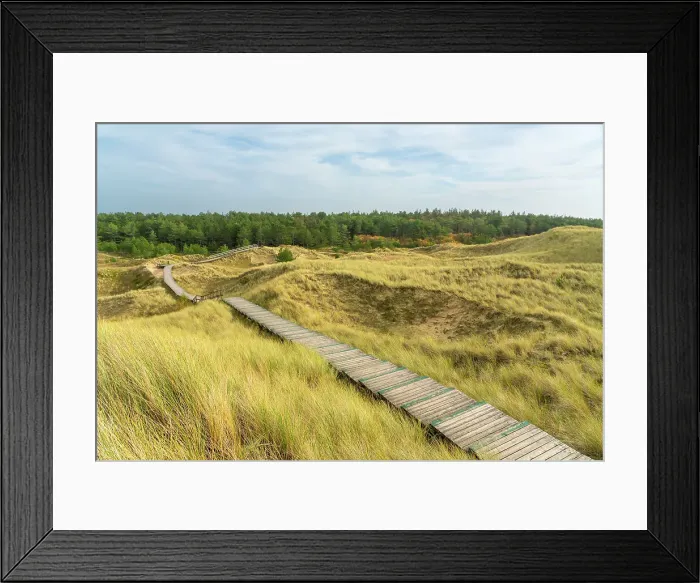 Framed Print : Wooden boardwalk among grass covered sand dune landscape near Norddorf, UNESCO, Amrum island, Nordfriesland, Schleswig-Holstein, Germany Framed Print : Wooden boardwalk among grass covered sand dune landscape near Norddorf, UNESCO, Amrum island, Nordfriesland, Schleswig-Holstein, Germany