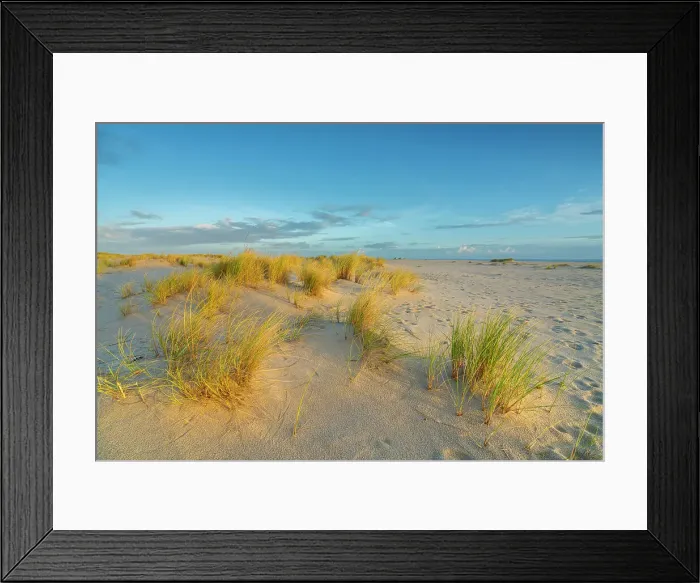 Framed Print : Grass covered sand dunes near List-Ost Lighthouse at sunrise, Ellenbogen, Sylt, Nordfriesland, Schleswig-Holstein, Germany Framed Print : Grass covered sand dunes near List-Ost Lighthouse at sunrise, Ellenbogen, Sylt, Nordfriesland, Schleswig-Holstein, Germany