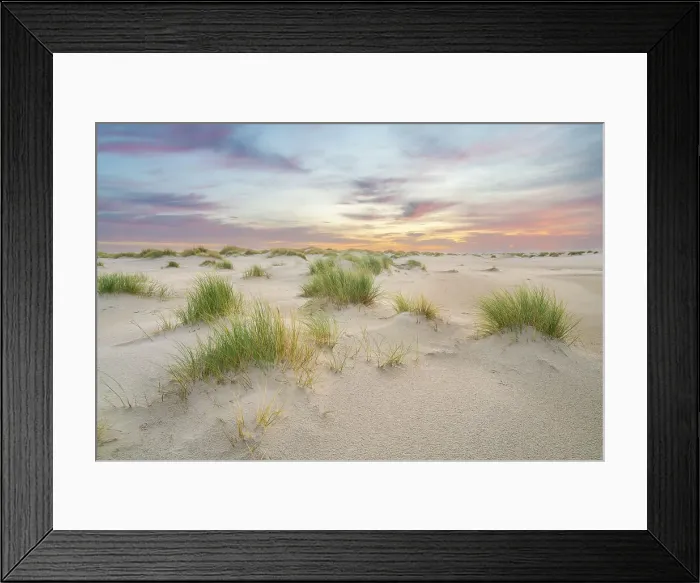 Framed Print : Sand dune landscape at sunrise, Wittdun, UNESCO, Amrum island, Nordfriesland, Schleswig-Holstein, Germany Framed Print : Sand dune landscape at sunrise, Wittdun, UNESCO, Amrum island, Nordfriesland, Schleswig-Holstein, Germany