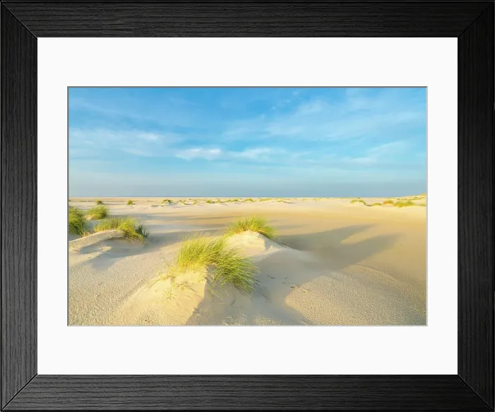 Framed Print : Sand dune landscape at sunrise, Wittdun, UNESCO, Amrum island, Nordfriesland, Schleswig-Holstein, Germany