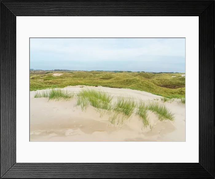 Framed Print : Sand dune landscape, Wittdun, UNESCO, Amrum island, Nordfriesland, Schleswig-Holstein, Germany Framed Print : Sand dune landscape, Wittdun, UNESCO, Amrum island, Nordfriesland, Schleswig-Holstein, Germany