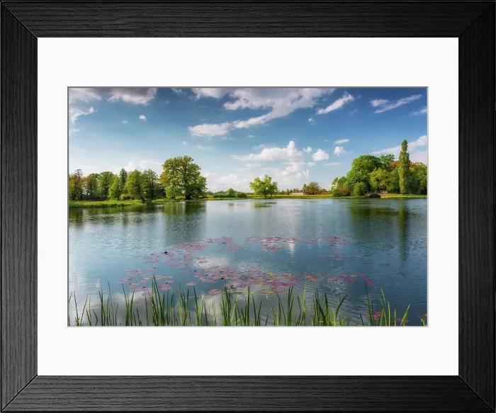 Framed Print : Lake Worlitz with a view of the palm house, Dessau-Worlitzer Garden Realm, English style landscape park, Unesco World Heritage site, Dessau-Worlitz, Saxony-Anhalt, Germany Framed Print : Lake Worlitz with a view of the palm house, Dessau-Worlitzer Garden Realm, English style landscape park, Unesco World Heritage site, Dessau-Worlitz, Saxony-Anhalt, Germany
