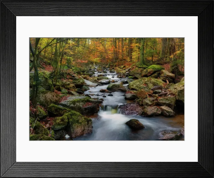 Framed Print : Mountain creek Ilse flows through autumnally coloured deciduous forest, National Park Harz, Harz mountains, Saxony-Anhalt, Germany, Europe Framed Print : Mountain creek Ilse flows through autumnally coloured deciduous forest, National Park Harz, Harz mountains, Saxony-Anhalt, Germany, Europe