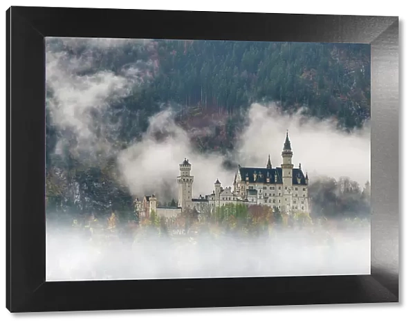 Neuschwanstein Castle in Mist, Schwangau, Bavaria, Germany