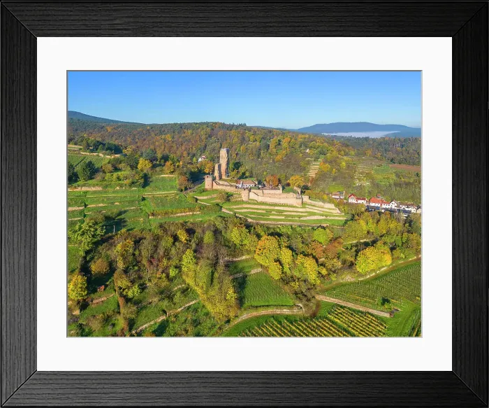 Framed Print : Aerial view at Wachtenburg castle, Wachenheim, Palatinate wine road, Rhineland-Palatinate, Germany Framed Print : Aerial view at Wachtenburg castle, Wachenheim, Palatinate wine road, Rhineland-Palatinate, Germany