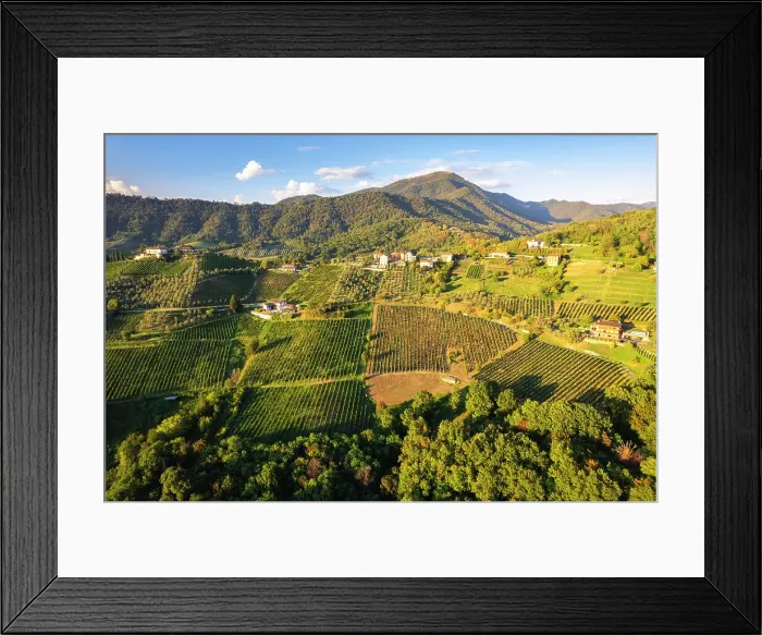 Framed Print : Vineyards of Terre del Vescovado in Bergamo province, Lombardy district in Italy Framed Print : Vineyards of Terre del Vescovado in Bergamo province, Lombardy district in Italy