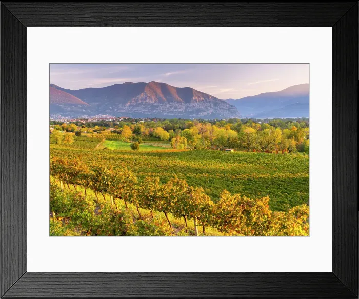 Framed Print : Autumn season in Franciacorta, Brescia province in Lombardy district, Italy Framed Print : Autumn season in Franciacorta, Brescia province in Lombardy district, Italy