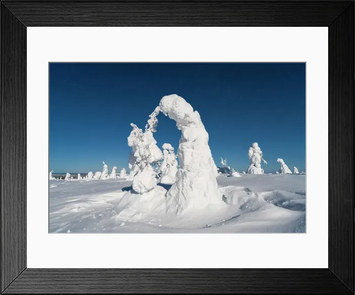 Framed Print : Ice sculptures lit by moon in the cold arctic night, Riisitunturi National Park, Posio, Lapland, Finland Framed Print : Ice sculptures lit by moon in the cold arctic night, Riisitunturi National Park, Posio, Lapland, Finland