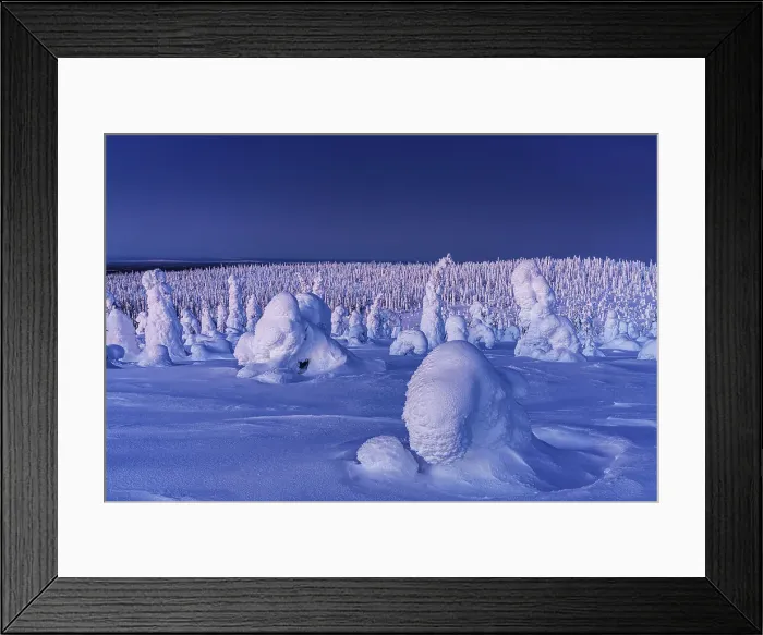 Framed Print : Frozen snowy forest, Riisitunturi National Park, Posio, Lapland, Finland