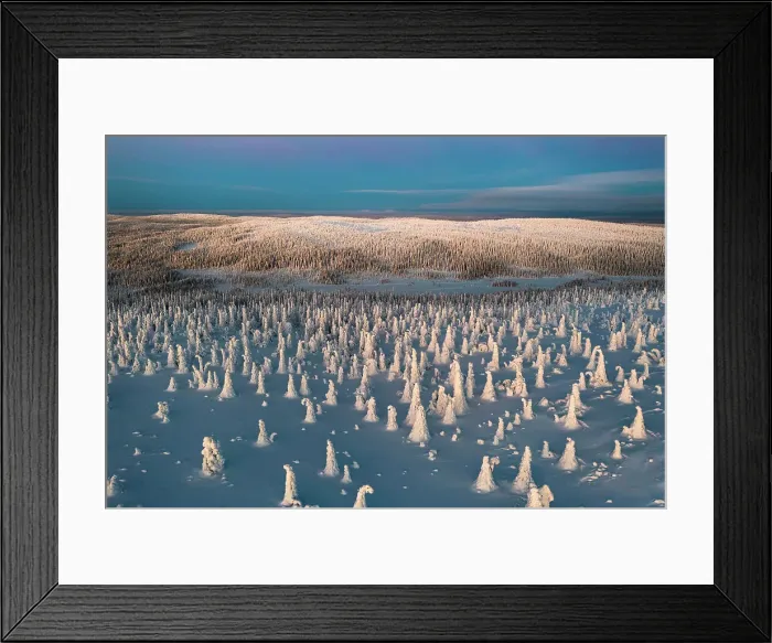 Framed Print : Overhead frozen snowy forest at sunrise, Riisitunturi National Park, Posio, Lapland, Finland Framed Print : Overhead frozen snowy forest at sunrise, Riisitunturi National Park, Posio, Lapland, Finland