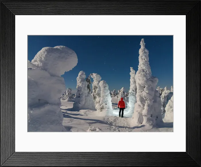 Framed Print : One person admiring the ice sculptures in the frozen forest at night, Riisitunturi National Park, Posio, Lapland, Finland (MR) Framed Print : One person admiring the ice sculptures in the frozen forest at night, Riisitunturi National Park, Posio, Lapland, Finland (MR)