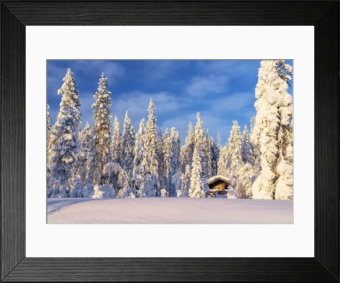 Framed Print : Winter sunrise over a lone mountain hut in the snowy forest, Kangos, Norrbotten County, Lapland, Sweden Framed Print : Winter sunrise over a lone mountain hut in the snowy forest, Kangos, Norrbotten County, Lapland, Sweden