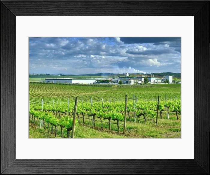 Framed Print : Delta Cafes, the main enterprise in the coffee industry and trade in Portugal, and Centro de Ciencia do Cafe (Coffee Science Centre). Campo Maior, Alentejo. Portugal