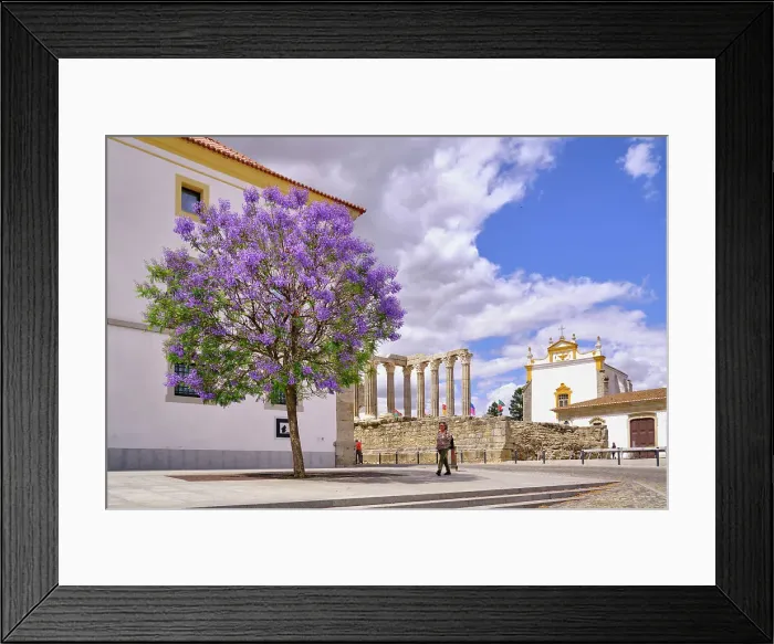Framed Print : Jacaranda at Evora, Alentejo. Portugal (MR) Framed Print : Jacaranda at Evora, Alentejo. Portugal (MR)