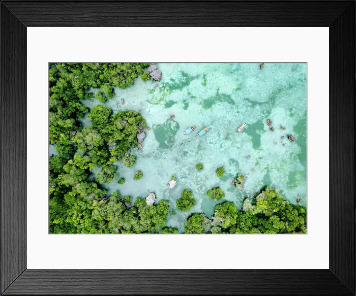 Framed Print : Boats moored in the lagoon framed by a mangrove forest, Kwale Island, Zanzibar, Tanzania Framed Print : Boats moored in the lagoon framed by a mangrove forest, Kwale Island, Zanzibar, Tanzania