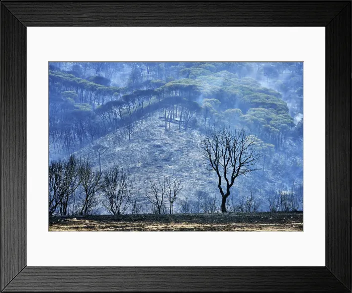 Framed Print : Wild fires in the Arrabida Nature Park. Palmela, Portugal Framed Print : Wild fires in the Arrabida Nature Park. Palmela, Portugal