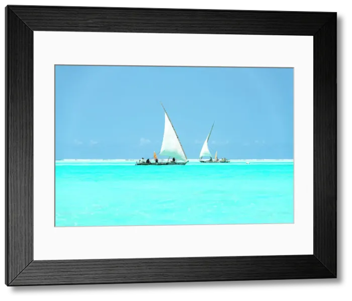 Framed Print : Dhow boats sailing in the crystal turquoise water of the Indian Ocean, Paje, Jambiani, Zanzibar, Tanzania Framed Print : Dhow boats sailing in the crystal turquoise water of the Indian Ocean, Paje, Jambiani, Zanzibar, Tanzania