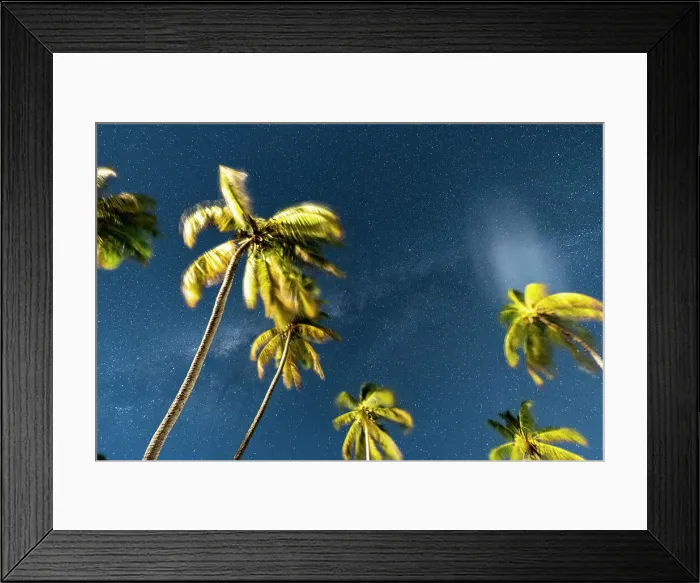 Framed Print : Low angle of palm trees brightly lit by Milky Way at night, Jambiani, Zanzibar, Tanzania Framed Print : Low angle of palm trees brightly lit by Milky Way at night, Jambiani, Zanzibar, Tanzania