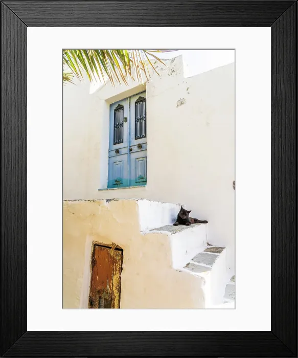 Framed Print : A cat sitting in Symi, Dodecanese Islands, Greece