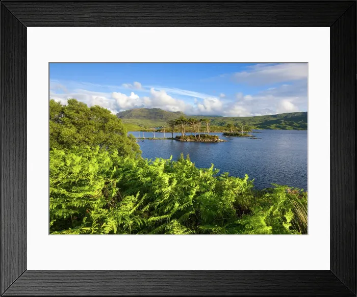 Framed Print : Scotland, Sutherland, Loch Assynt Framed Print : Scotland, Sutherland, Loch Assynt