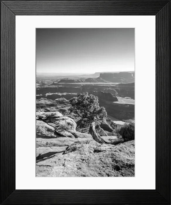 Framed Print : Dead Horse Point State Park, Utah, USA
