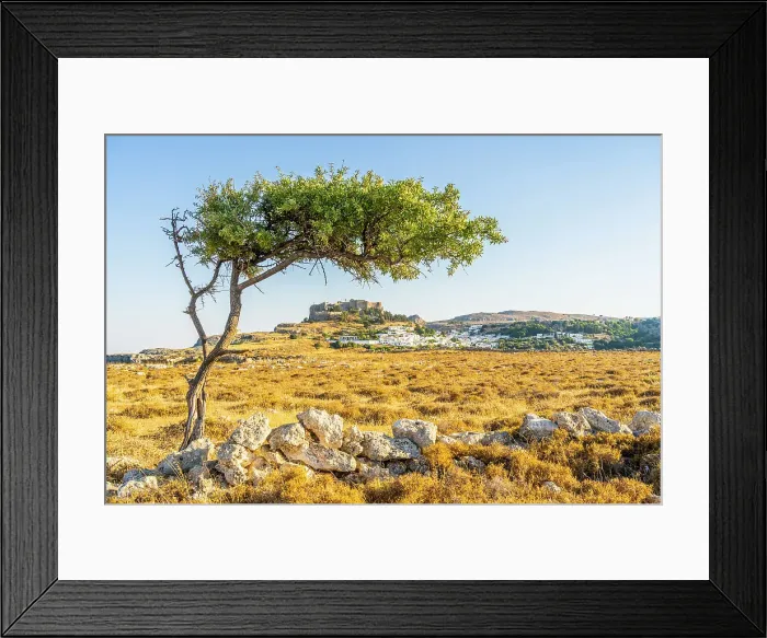 Framed Print : The Acropolis of Lindos viewed through an olive tree, Lindos, Dodecanese Islands, Greece