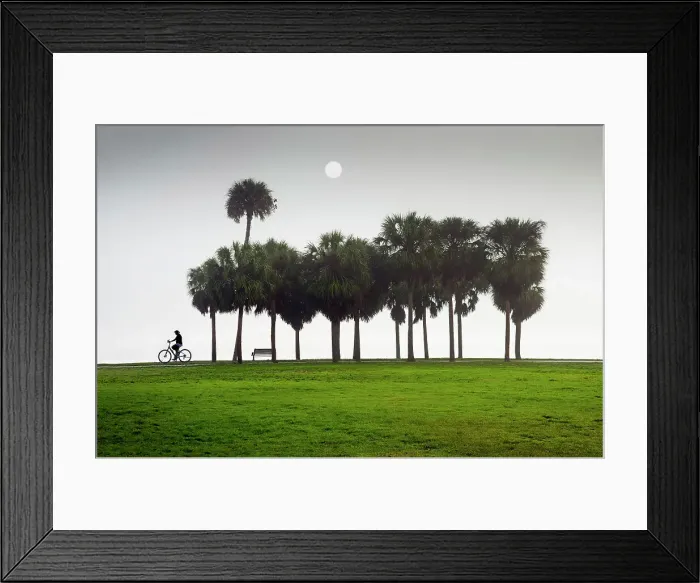 Framed Print : Florida, Saint Petersburg, Sunrise, Fog, Vinoy Park, Waterfront, Tampa Bay, Bicycling