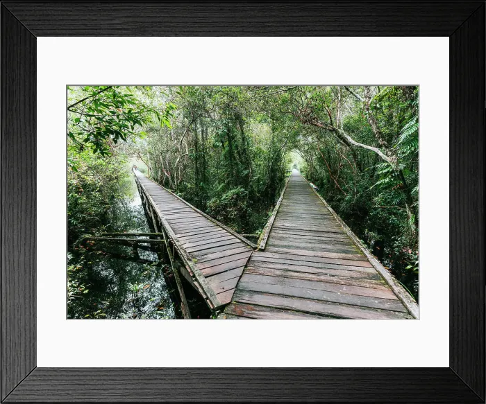 Framed Print : Wooden footbridge in Tanjung Puting National Park, Borneo, Indonesia Framed Print : Wooden footbridge in Tanjung Puting National Park, Borneo, Indonesia