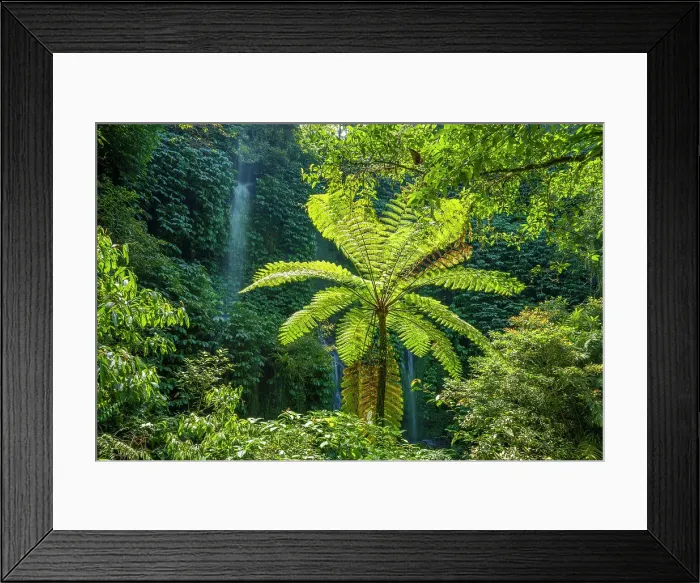 Framed Print : Benang Kelambu and Benang Stokel waterfalls in Lombok, Indonesia Framed Print : Benang Kelambu and Benang Stokel waterfalls in Lombok, Indonesia
