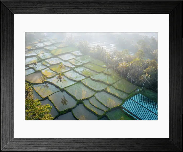 Framed Print : Rice fields from above, Ubud, Bali, Indonesia Framed Print : Rice fields from above, Ubud, Bali, Indonesia